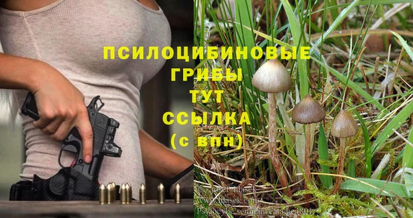 ALPHA PVP Богородицк